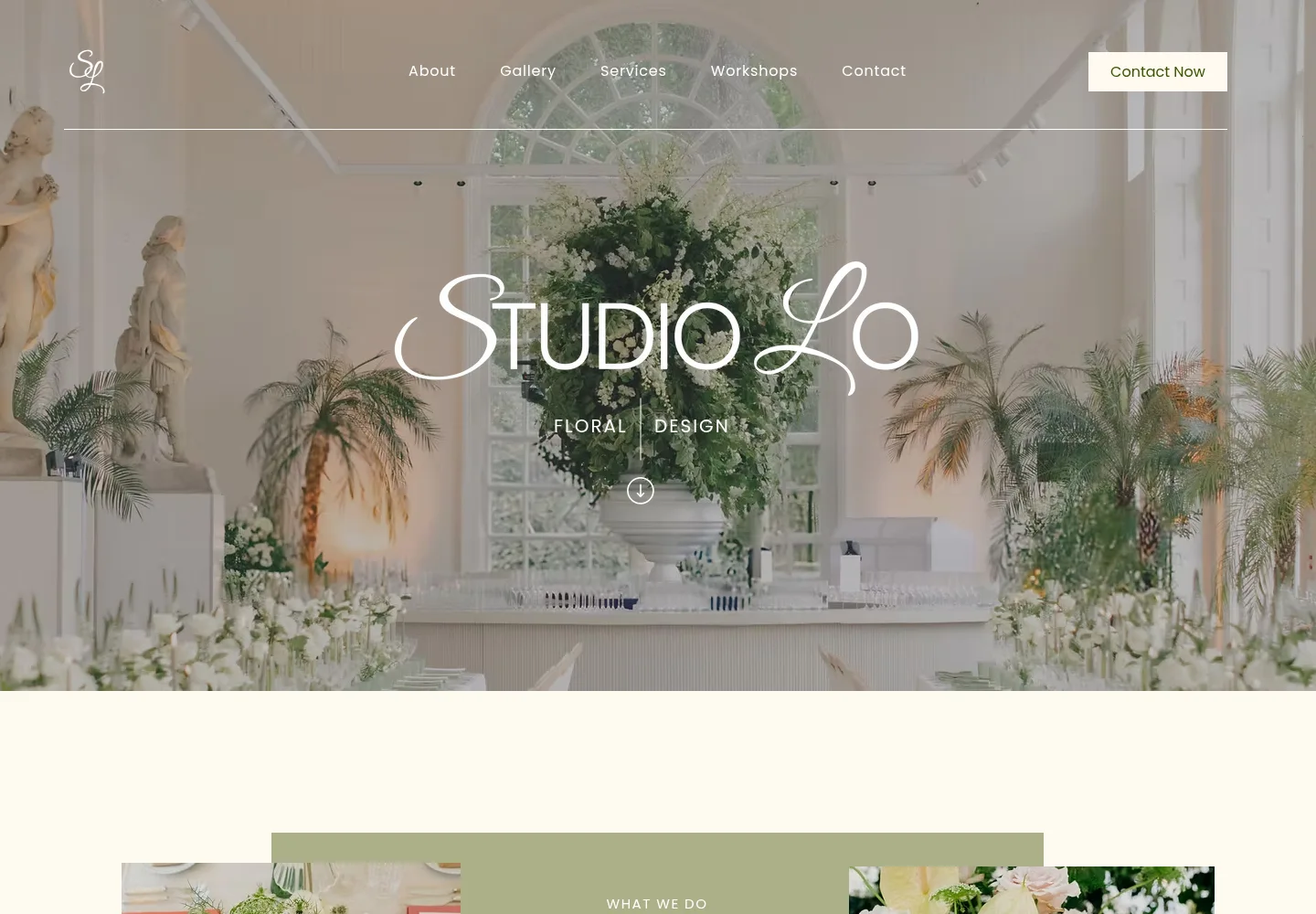 Current Studio Lo homepage